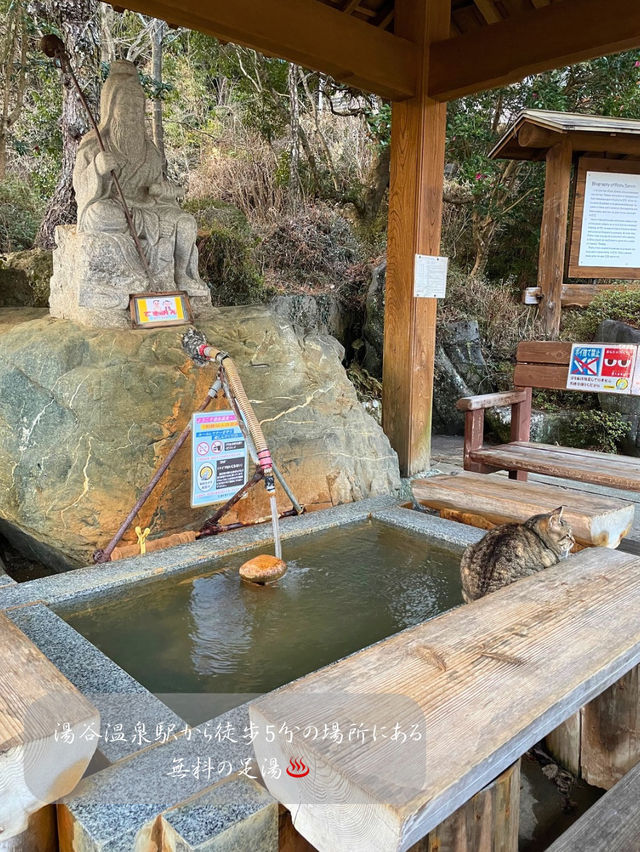 看板猫🐈がいる！？湯谷温泉の無料の足湯♨️
