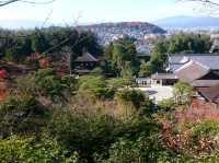 【京都】銀閣寺で日本庭園を楽しむ