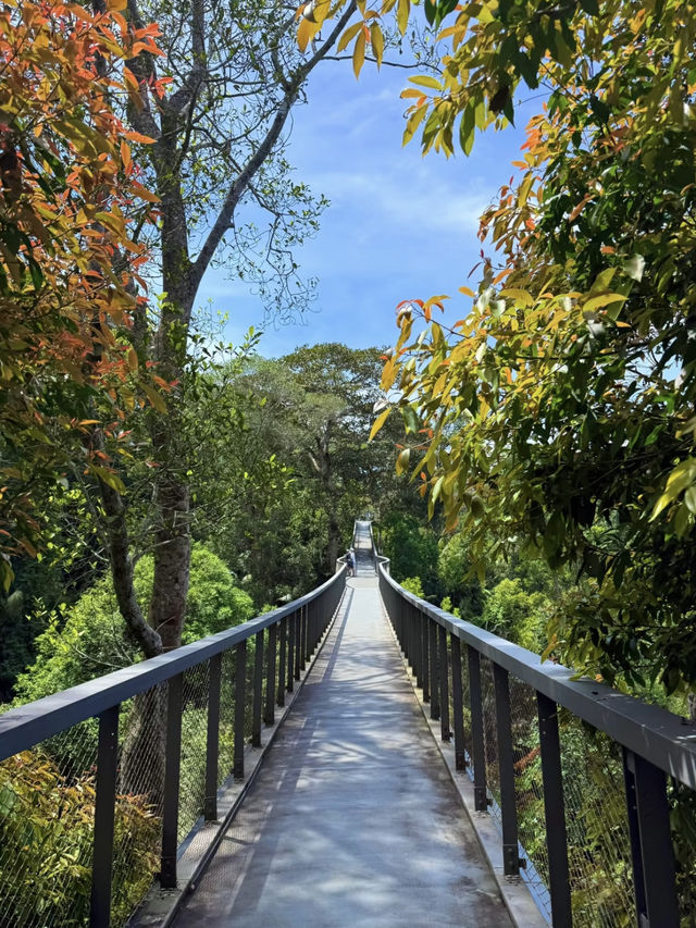 Step into a Ghibli-style fairytale world — in Malaysia!
