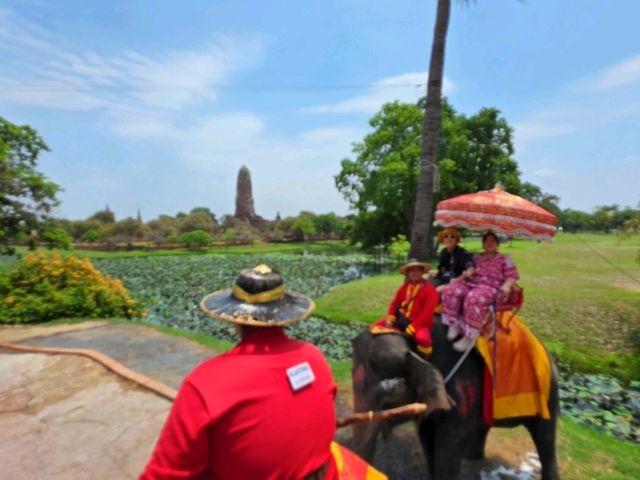นั่งหลังช้าง ชมเมืองอยุธยา วิถีชุมชน