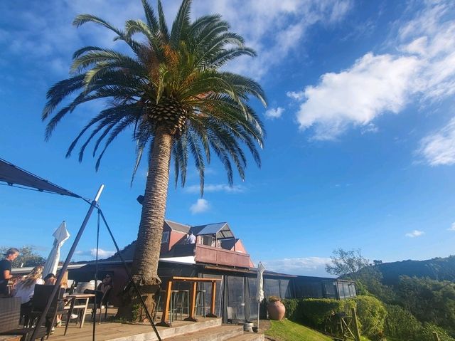 Fun day at Waikehe island !