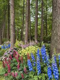 Snapdragons & Serenity: Spring Stroll in Taiziwan Park