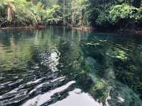  💦“คลองหรูด คลองน้ำใส“ Krabi no Sea🏝️
