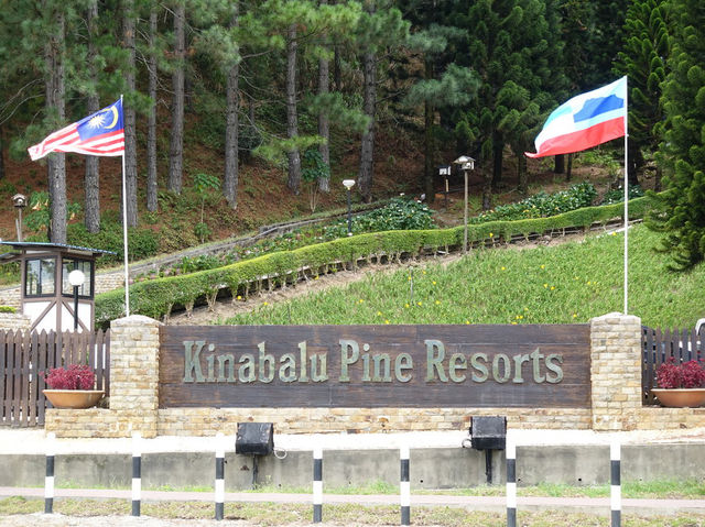 “Kinabalu Pine Resort: A Tranquil Escape with Breathtaking Mountain Views”