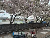 Cycle tour from Fukuoka to Osaka via coastal