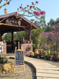 “Blossoms in the South: A Tropical Take on Spring in Guangdong”