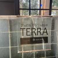 【札幌🇯🇵】朝からオシャレビュッフェ❄Farm to Table TERRA