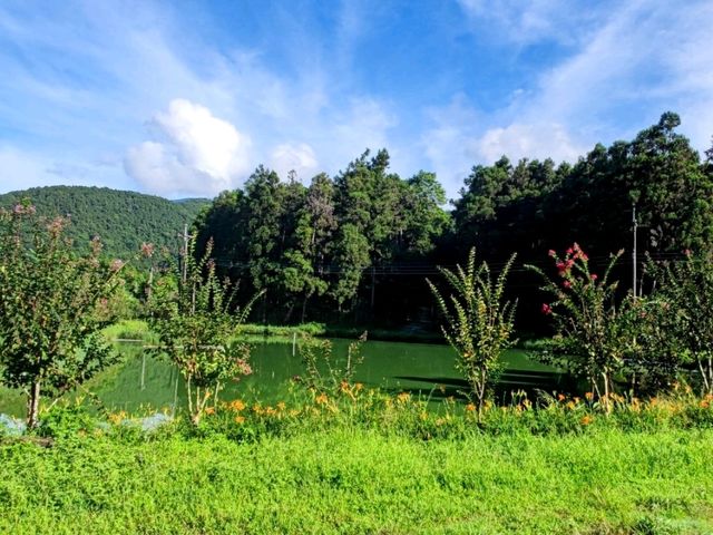 #雙連埤-宜蘭縣員山鄉