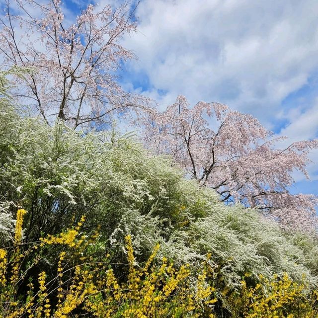 3色混ざったこの景色が美しい