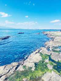 【 江ノ島観光 】 湘南の絶景を堪能🏝️✨