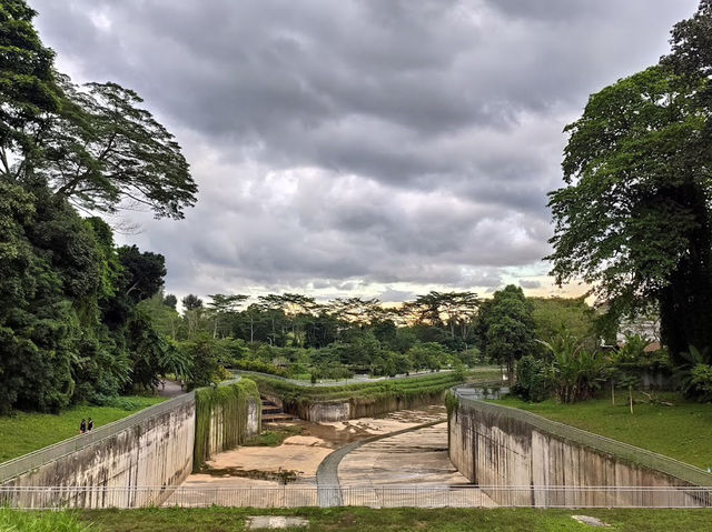 🚂 Singapore Rail Corridor: The Ultimate Urban Jungle Adventure You’re Missing Out On! 🌿