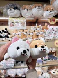 Tiny Tails in the Heart of Osaka: A Wholesome Afternoon at the Mameshiba Café 🐶✨