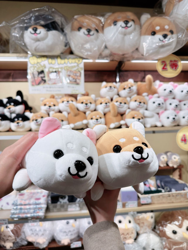 Tiny Tails in the Heart of Osaka: A Wholesome Afternoon at the Mameshiba Café 🐶✨
