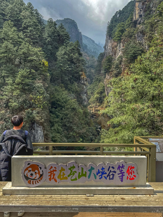 Floating into Spring: Riding the Cangshan Gantong Cable Car in Dali