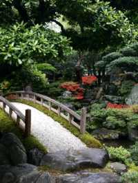 kyoto imperial palace