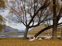 Lake Hayes, a small lake in the Lake Wakatipu Basin.