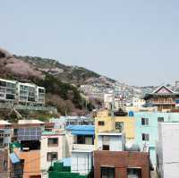 Gamcheon Culture Village – หมู่บ้านศิลปะสีลูกกวาด