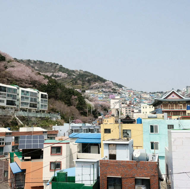 Gamcheon Culture Village – หมู่บ้านศิลปะสีลูกกวาด