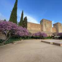 Granada ศิลปะแห่งอันดาลูเซีย สเปนตอนใต้