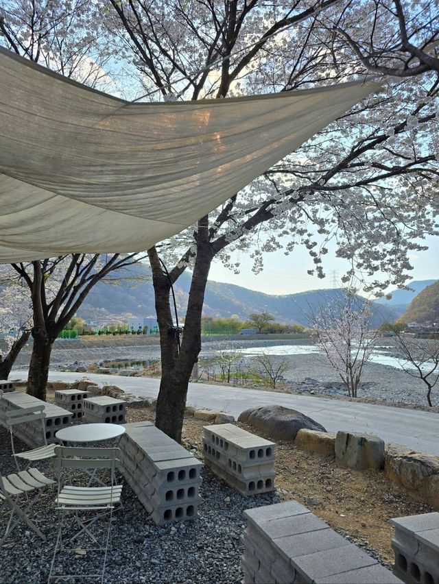 벚꽃액자샷을 찍을수 있는 밀양 감성카페🌸