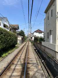 A Day in Kamakura – Culture, Nature & Coastal Charm