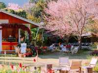 22 Aquarius Glamping Cafe