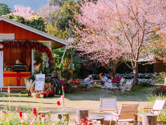 22 Aquarius Glamping Cafe