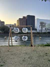 Kumamoto Sights and must go Night Bazaar that only open for 1 day a month!