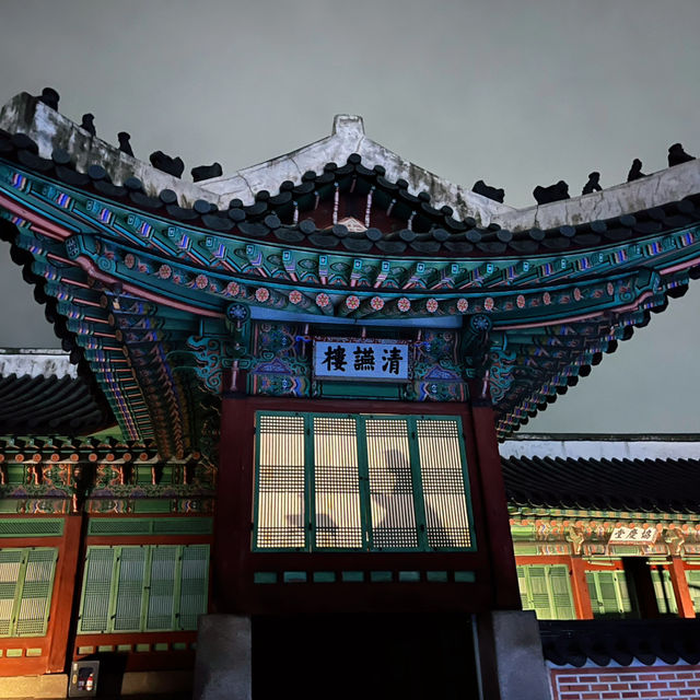 [국내] 경복궁 : ✨ 이색 야간데이트 🌠
