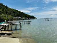 ให้อาหารปลาฉลามที่อ่าวคุ้งกระเบน จันทบุรี