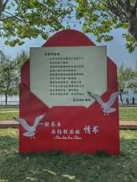 Wings Over Water: A Calm Spring Morning at Haigeng Park