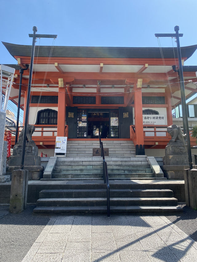 【東京都神楽坂🇯🇵 善國寺】16世紀に創建！七福神が祀られている小さな寺院