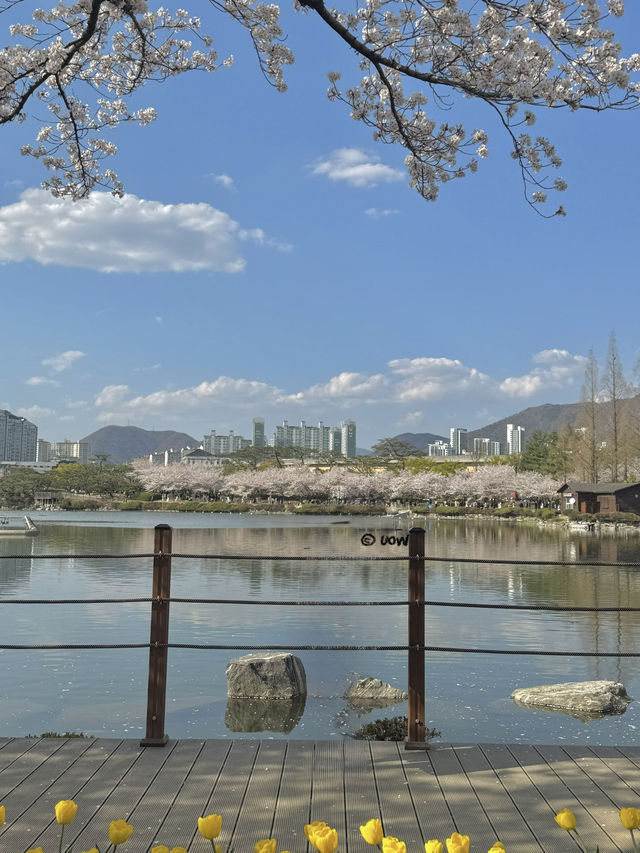 연지공원에서 가족나들이 어때 🧺🧺