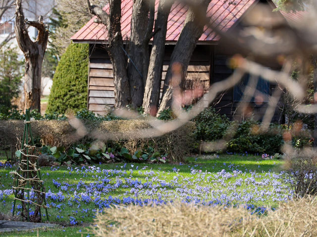 “The Scholar’s Garden: Hokkaido University in Bloom” 