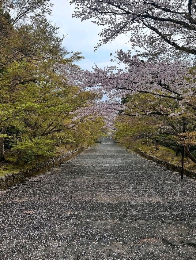 A Hidden Gem in Arashiyama