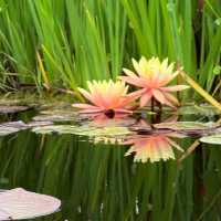 Mission San Juan Capistrano – San Juan Capistrano, CA
