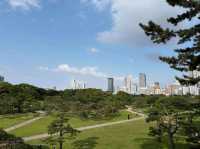 Tired of the Tokyo Rush? The Garden Is the Chill You Didn’t Know You Needed