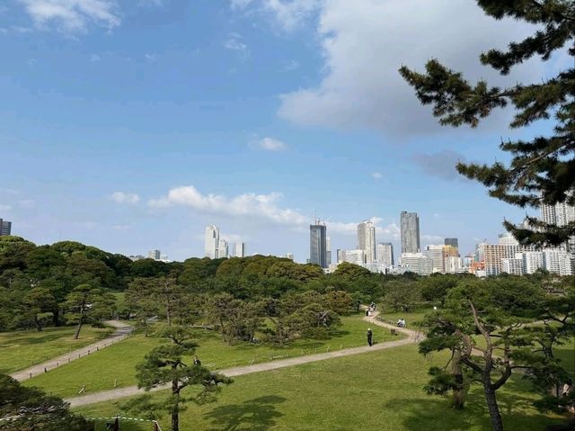 Tired of the Tokyo Rush? The Garden Is the Chill You Didn’t Know You Needed