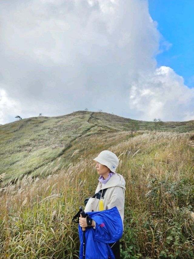 아이와 정선민둥산 산행