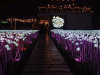 10,000 roses cafe