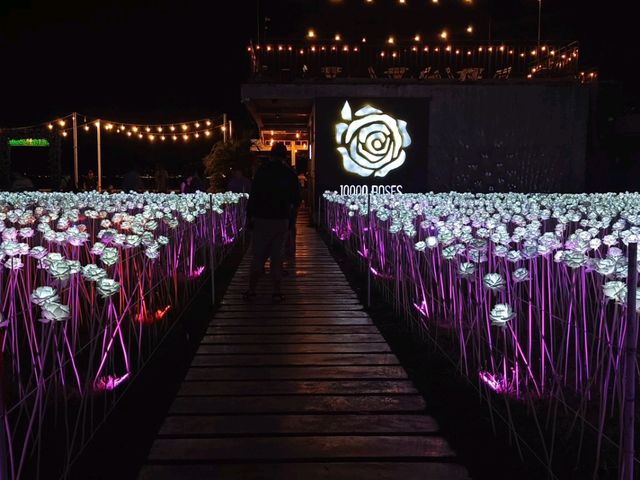 10,000 roses cafe