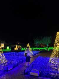 Nabana no Sato เทศกาลไฟสุดยิ่งใหญ่ที่ไม่ควรพลาด