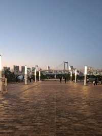 New York? It's Odaiba!