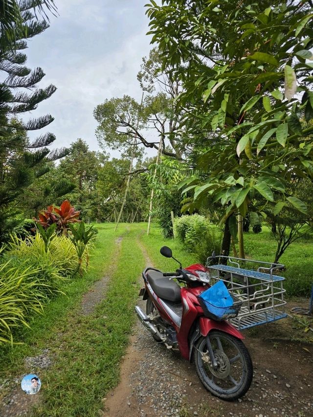 สวนอรุณบูรพา จันทบุรี