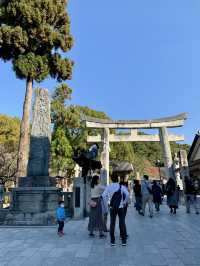 Weekend in Hakata – Noodles, Shrines & Sky-High Views