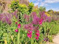Romance in Bloom: A Day at Sissinghurst Castle Garden, Kent