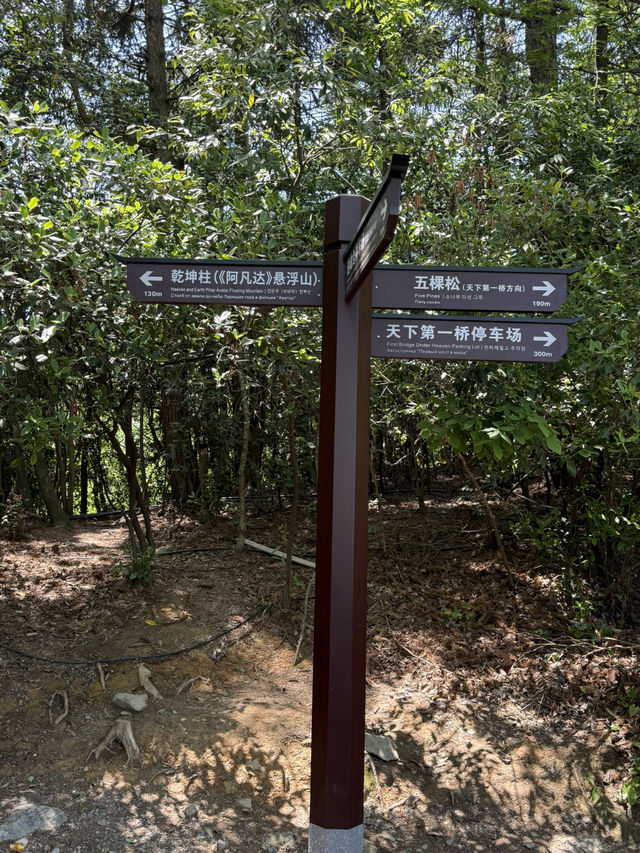 Wandering through the peaks that inspired Avatar. #YuanJiaJie