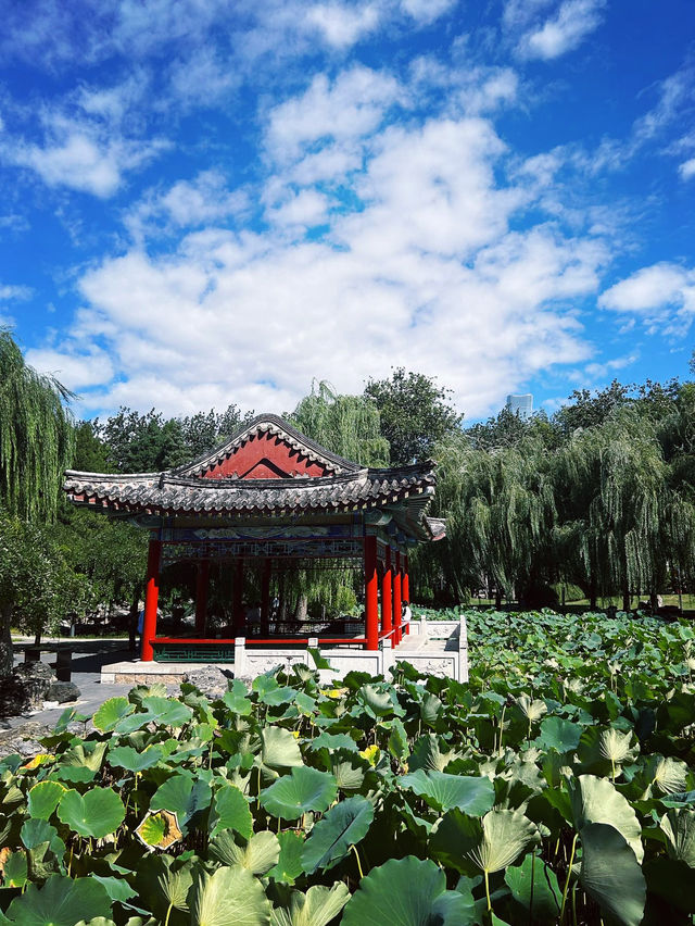 The Temple of the Sun