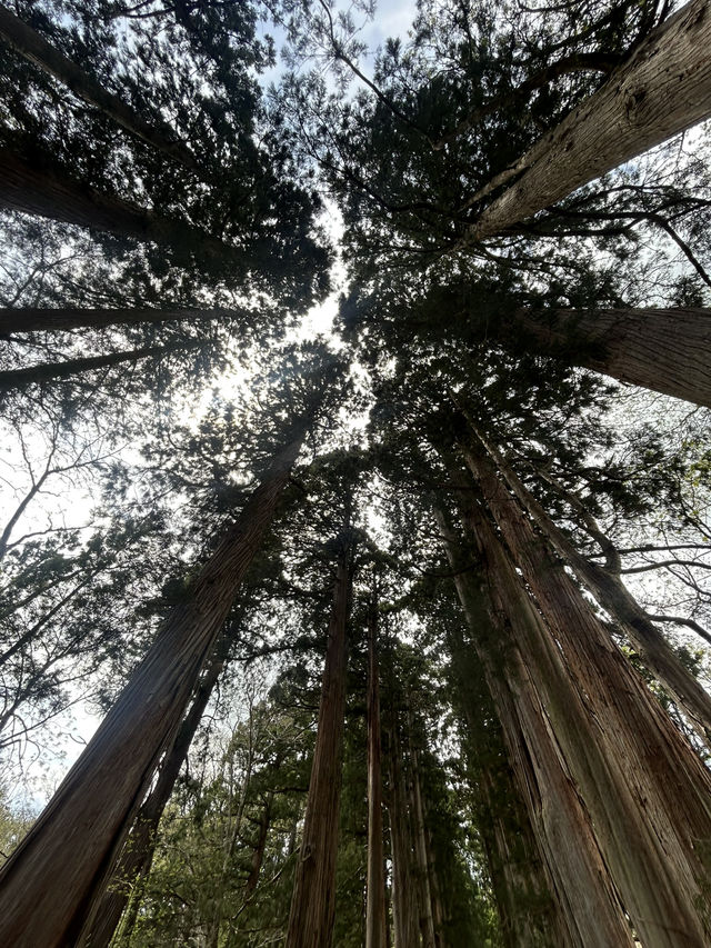 パワースポット戸隠神社