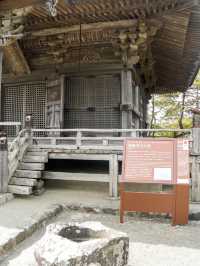 松島半日遊｜瑞巖寺、五大堂、伊達政宗歷史館